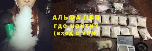 прущие грибы Пенза