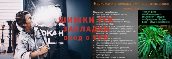 спайс Кулебаки