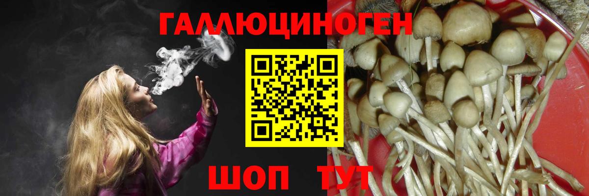 Псилоцибиновые грибы GOLDEN TEACHER Лиски